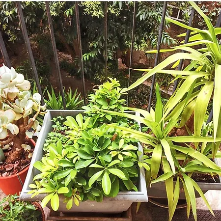 Spacieux à Avec Jardin, 78 M² Appartamento Montpellier