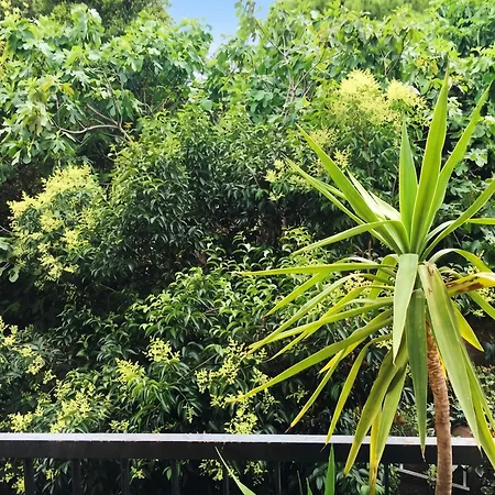 Spacieux à Avec Jardin, 78 M² Appartamento *
