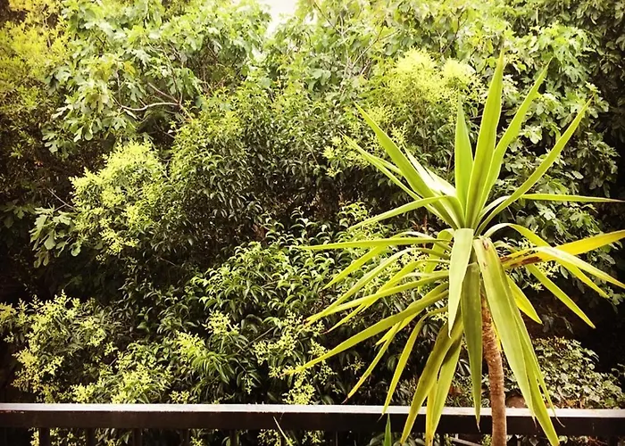 Spacieux A Avec Jardin, 78 M²